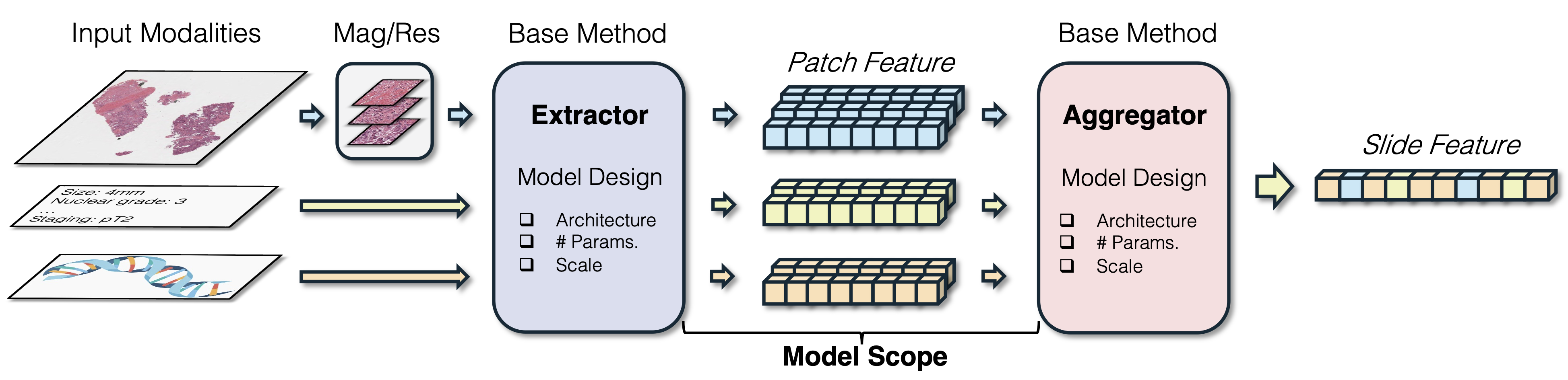 Hierarchical taxonomy integrated within the MIL framework for pathology foundation models